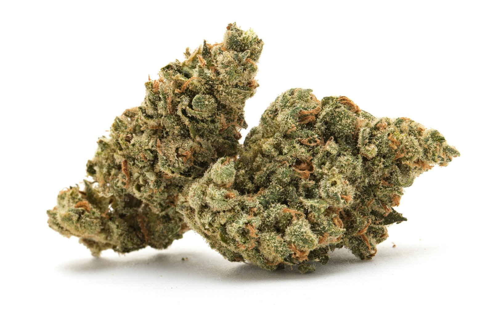 Space Runtz Strain 3 Space Runtz Strain