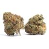 Elevated Wedding Crasher Strain 1 Wedding Crasher Strain