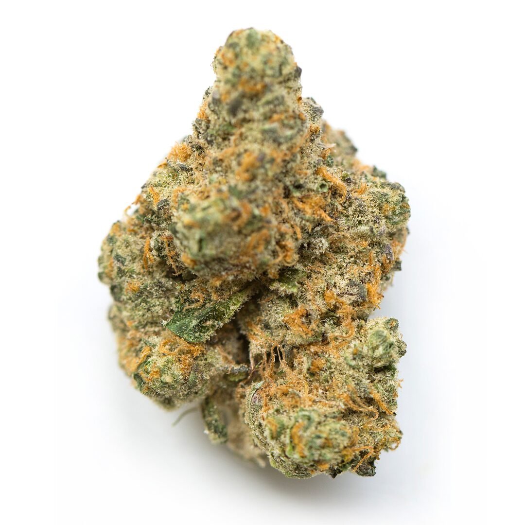 Triangle Mints Strain 3 Triangle Mints Strain
