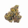 Gush Mints Strain 2 Gush Mints Strain
