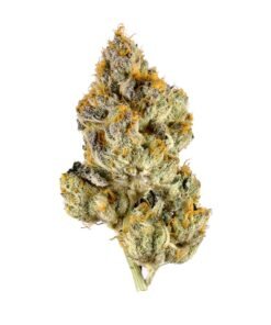 Lemon Cherry Gelato Strain