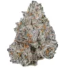 White Truffle Strain